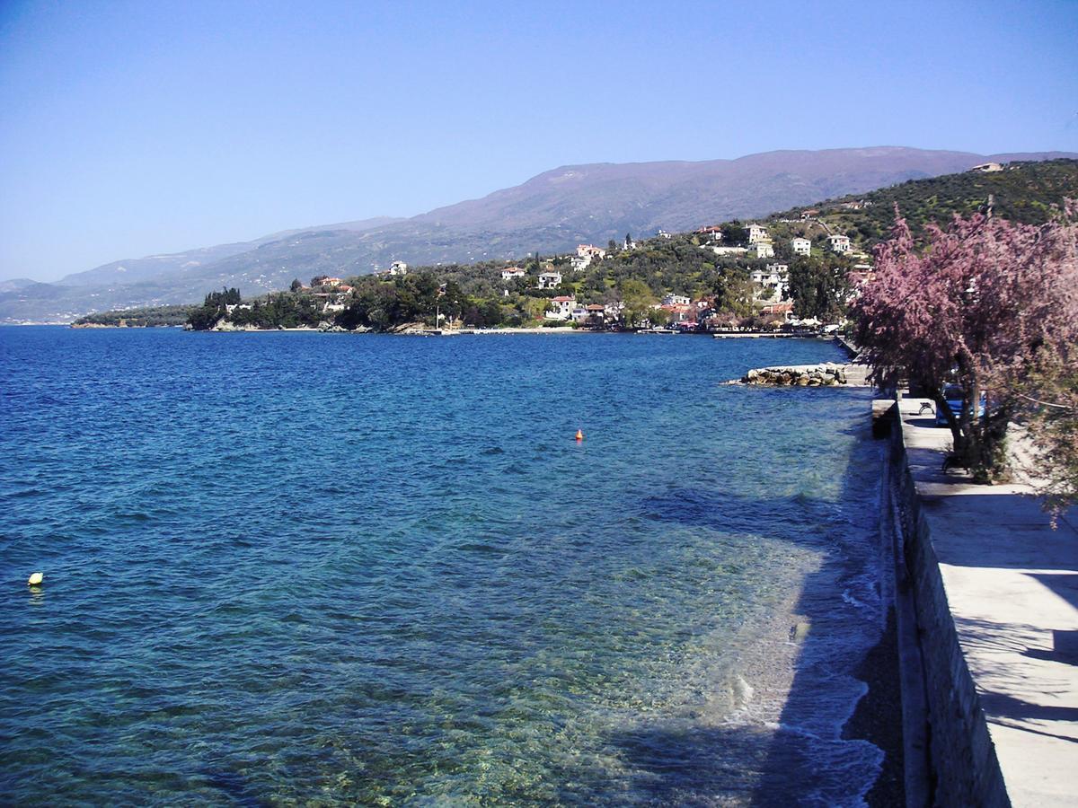 Faros Hotel Afissos Cameră foto